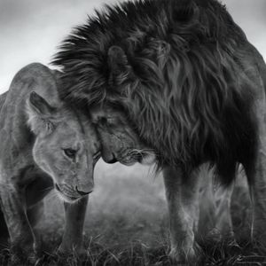 Meet your Posher, Ras